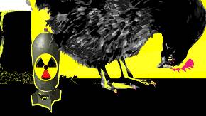 Collage: Ein Huhn, dessen Auge ein Radioaktivzeichen verdeckt, legt anstelle eines Eies eine Bombe, die ihrerseits mit einem Radioaktivzeichen markiert ist.